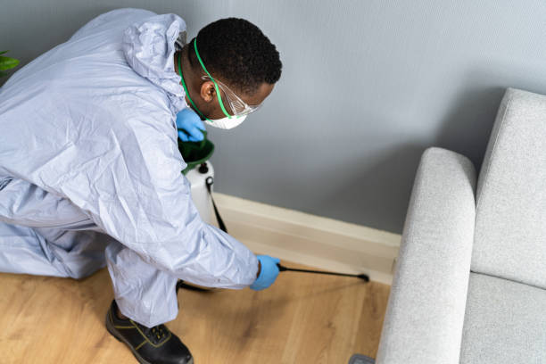 Emergency Pest Control Services in Carlstadt, NJ